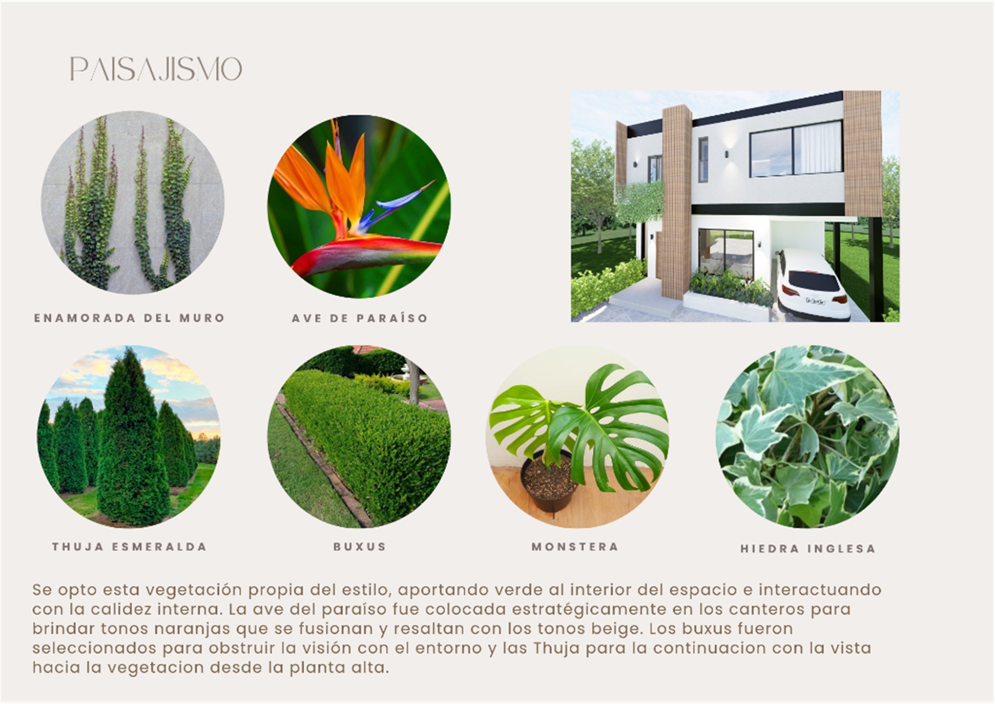Proceso de diseño - Ficha de paisajismo y selección de vegetación de la casa